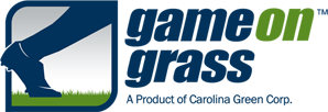 GameOnGrass