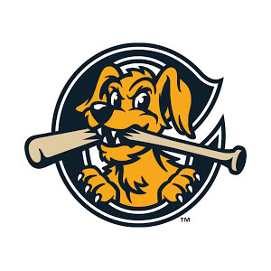 Charleston Riverdogs