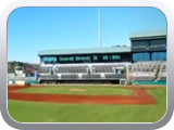 Charleston Riverdogs