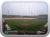 Carolina Green Corp. - Princeton Rays Baseball Hunnicutt Field Renovations